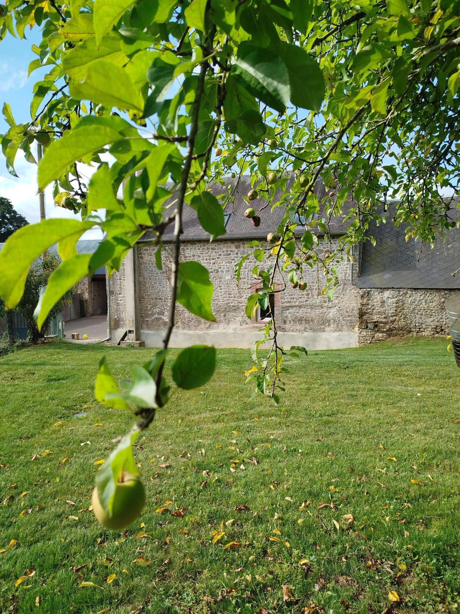 Lignieres-OrgeresLe Gite De La Haie Portee别墅 外观 照片